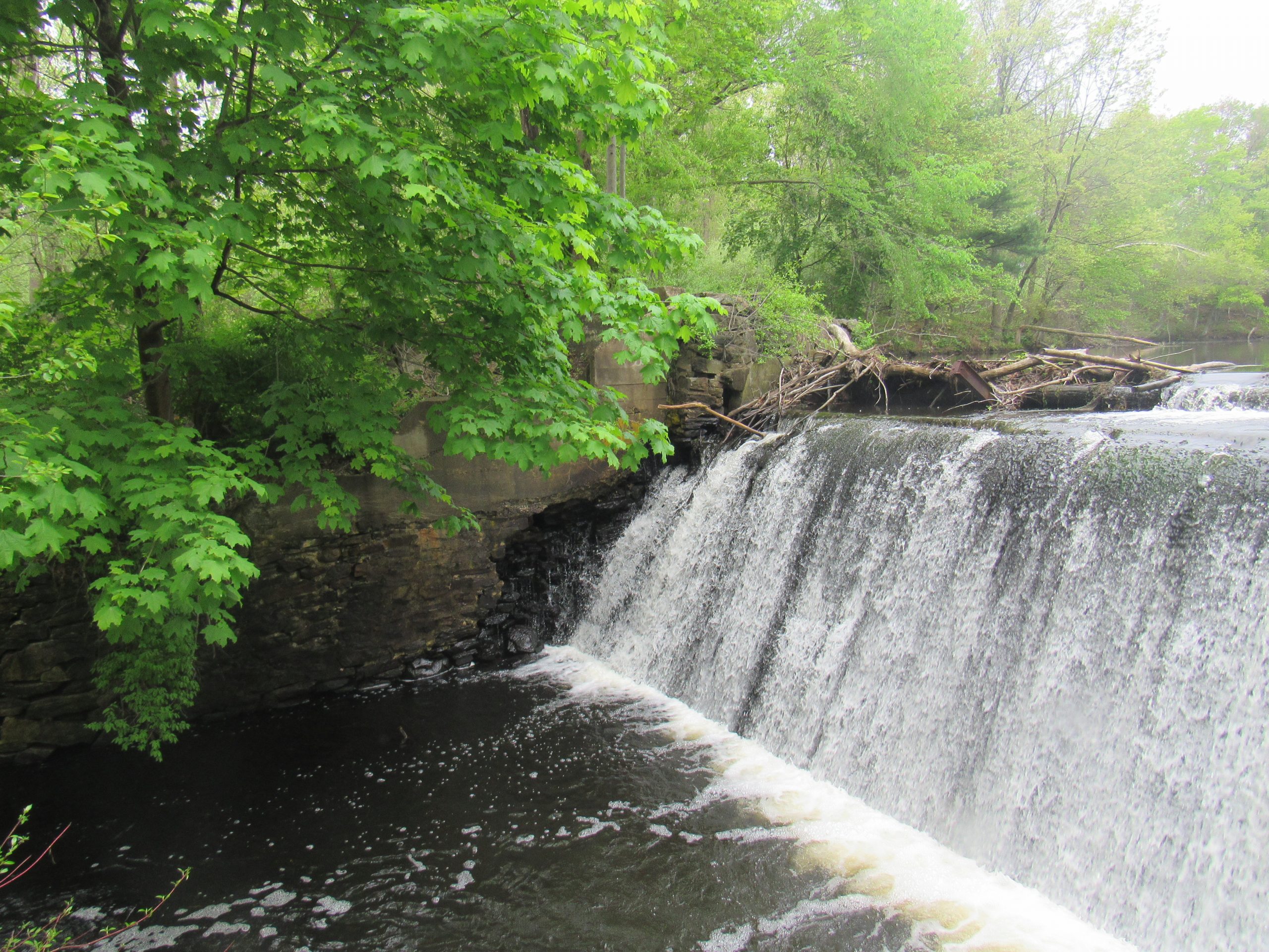 View of the spillway and the deteriorated right training wall